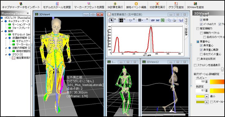 筋骨格モデル動作解析ソフトウェア nMotion musculous